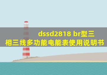 dssd2818 br型三相三线多功能电能表使用说明书